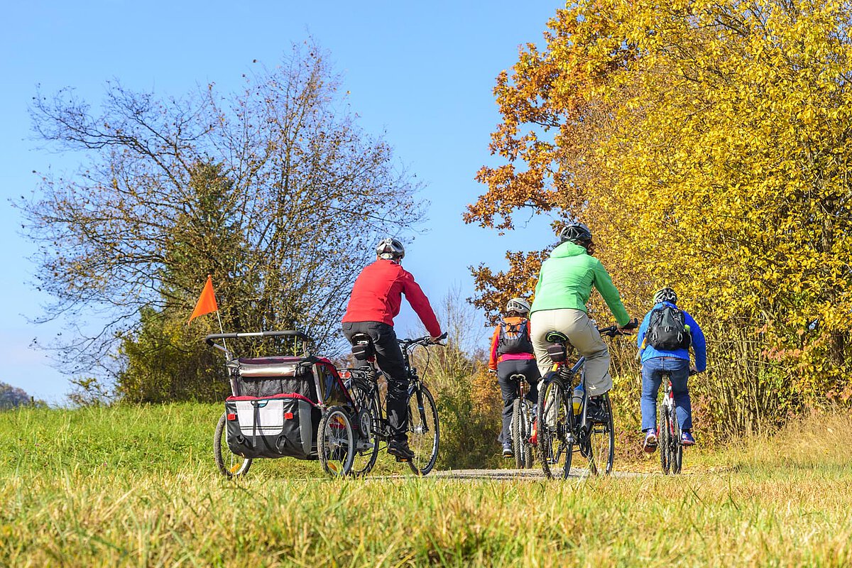 A group of cyclists riding on a path through a grassy area with autumn trees, including one cyclist on a cargo bike, under a clear blue sky.