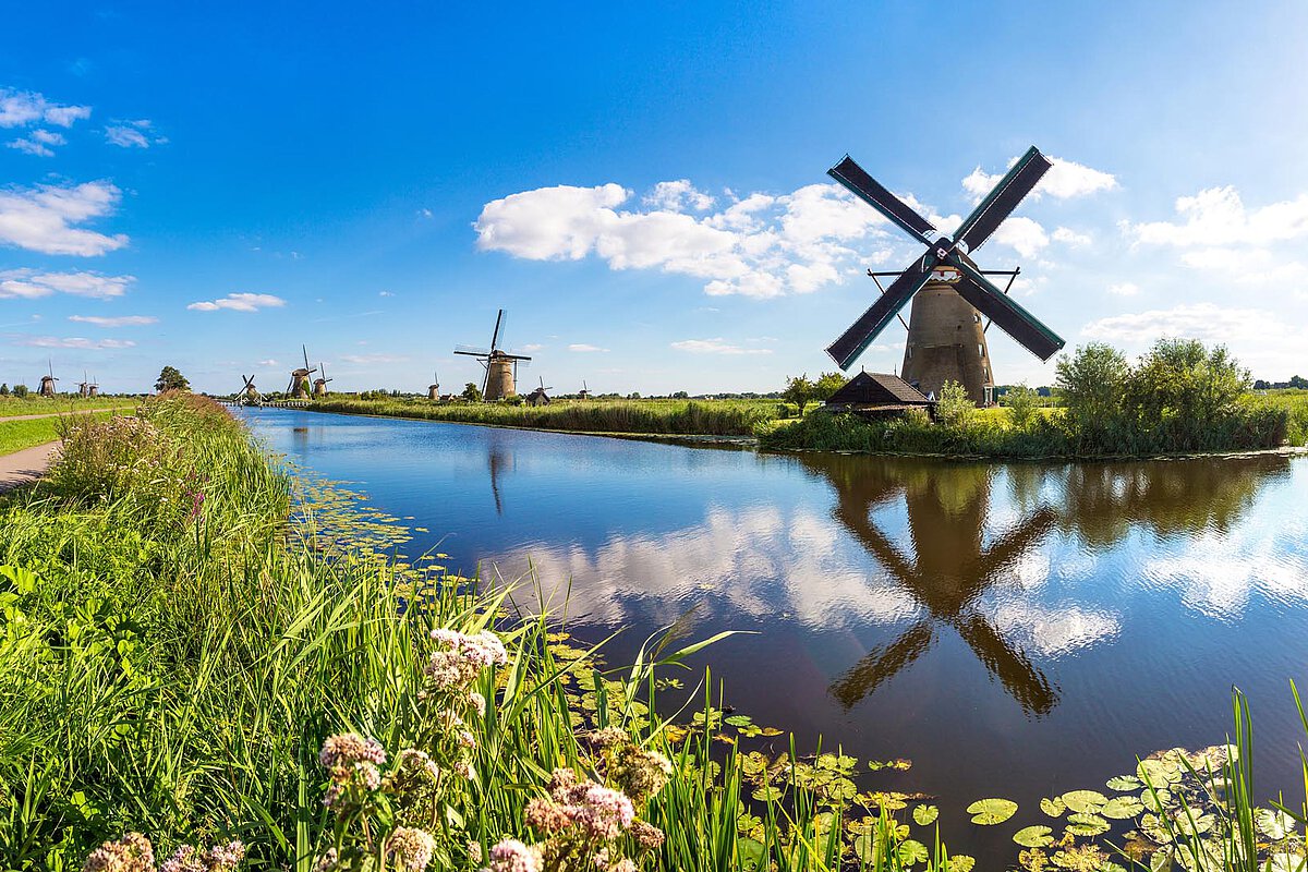Traditional windmills reflected in a calm canal, surrounded by greenery and flowers under a blue sky with clouds, showcasing the tranquil landscape of Zeeland.