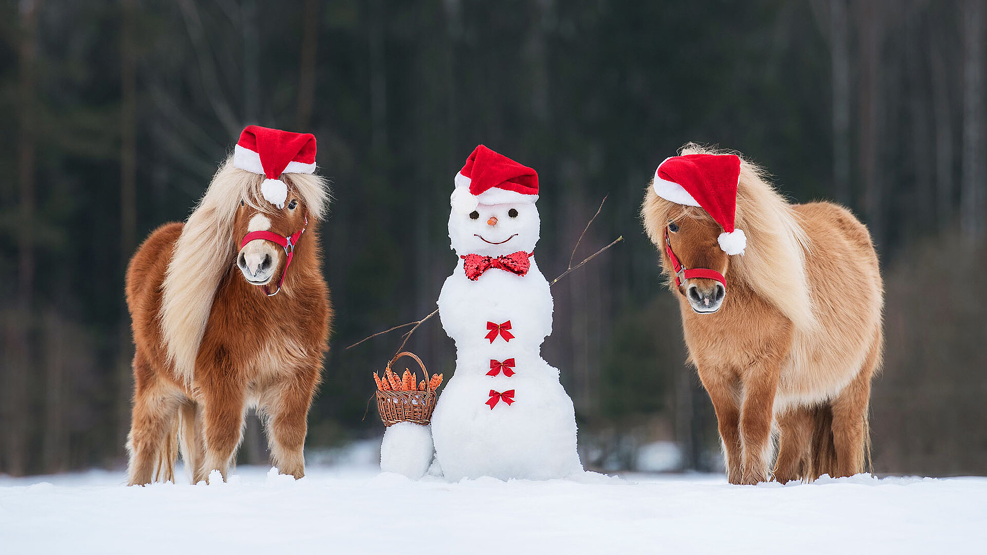 Two ponies wearing red Santa hats standing in the snow next to a snowman with a hat and red ribbons, with a basket of carrots in front.