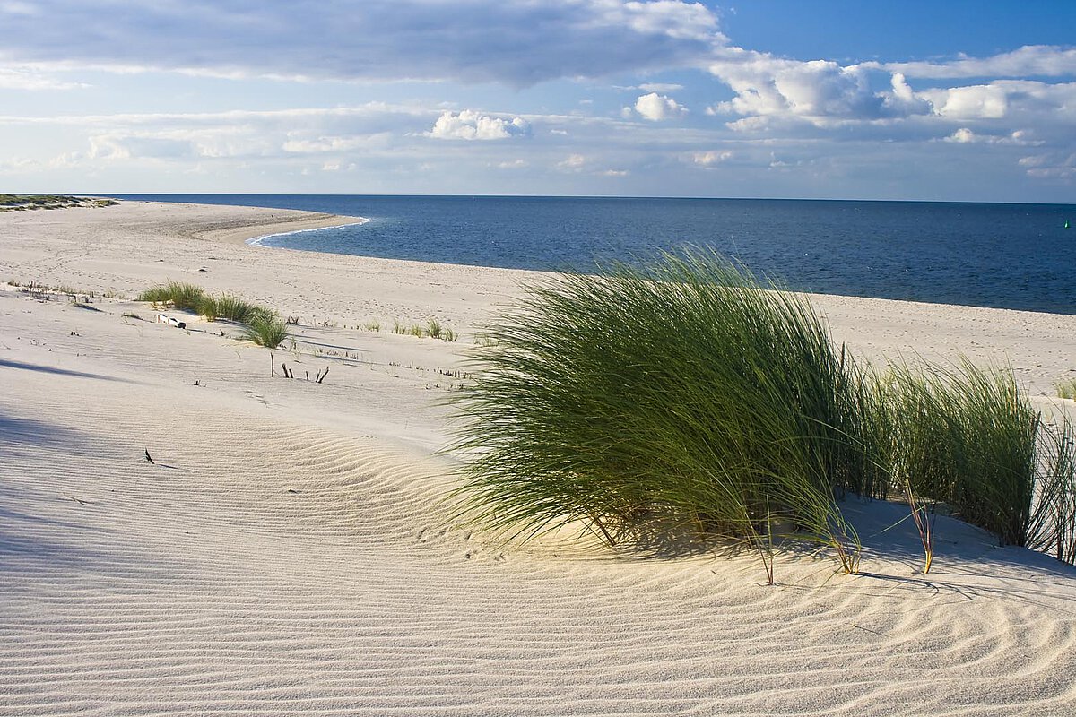 Sandstrand mit Grasdünen entlang der Ostseeküste in Dänemark, mit ruhigem blauen Meer und Wolken am Himmel.