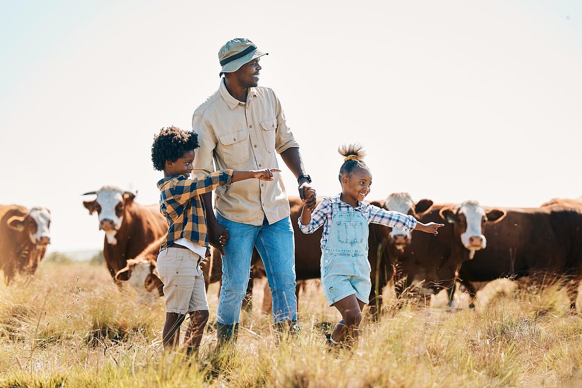 A man and two children walking in a grassy field on a farm, pointing at cows in the background under a sunny sky.