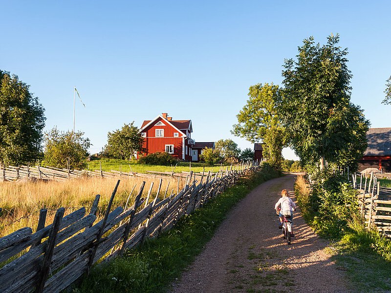 Ein Kind fährt bei warmem Abendlicht mit dem Fahrrad einen Schotterweg entlang, vorbei an einer roten Bauernhausvilla und traditionellen Holzzäunen, eingebettet in grüne Felder und Bäume.
