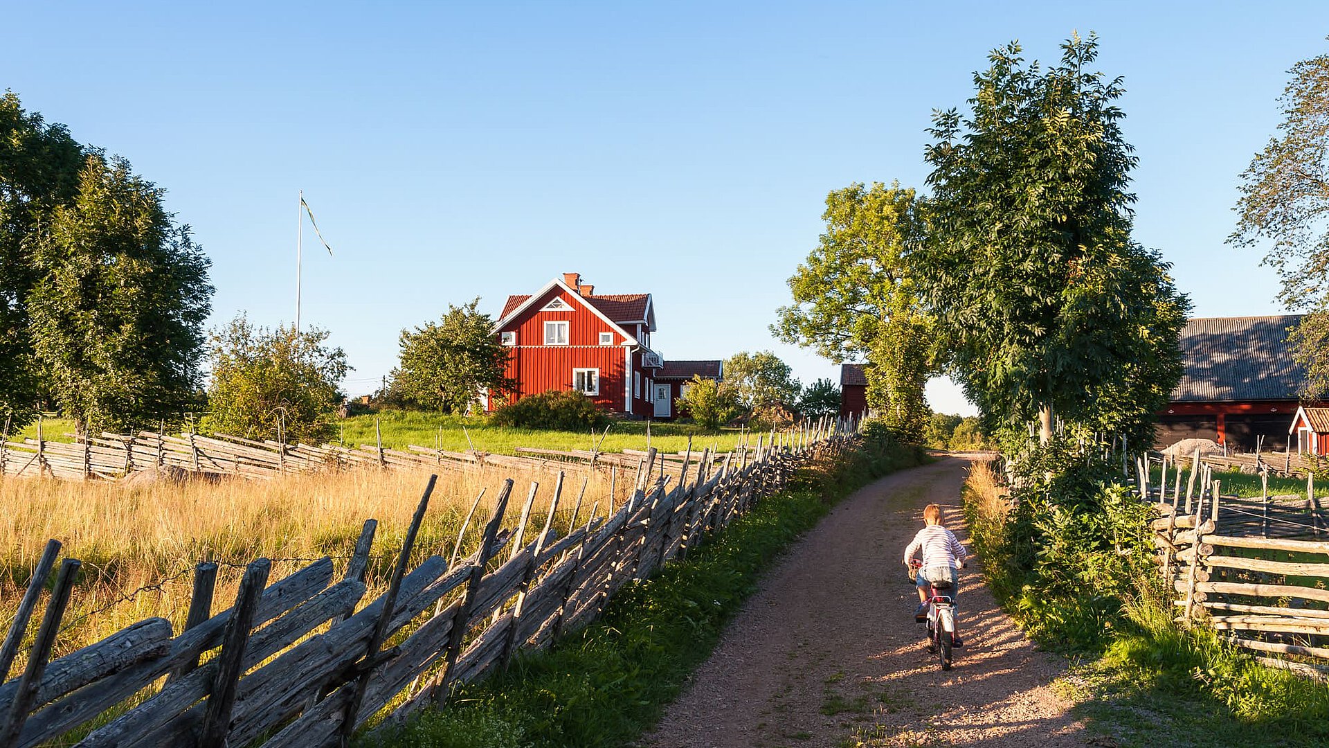 A child rides a bicycle along a gravel farm lane, passing a red farmhouse and rustic wooden fences, with green fields and trees glowing in the soft evening light.