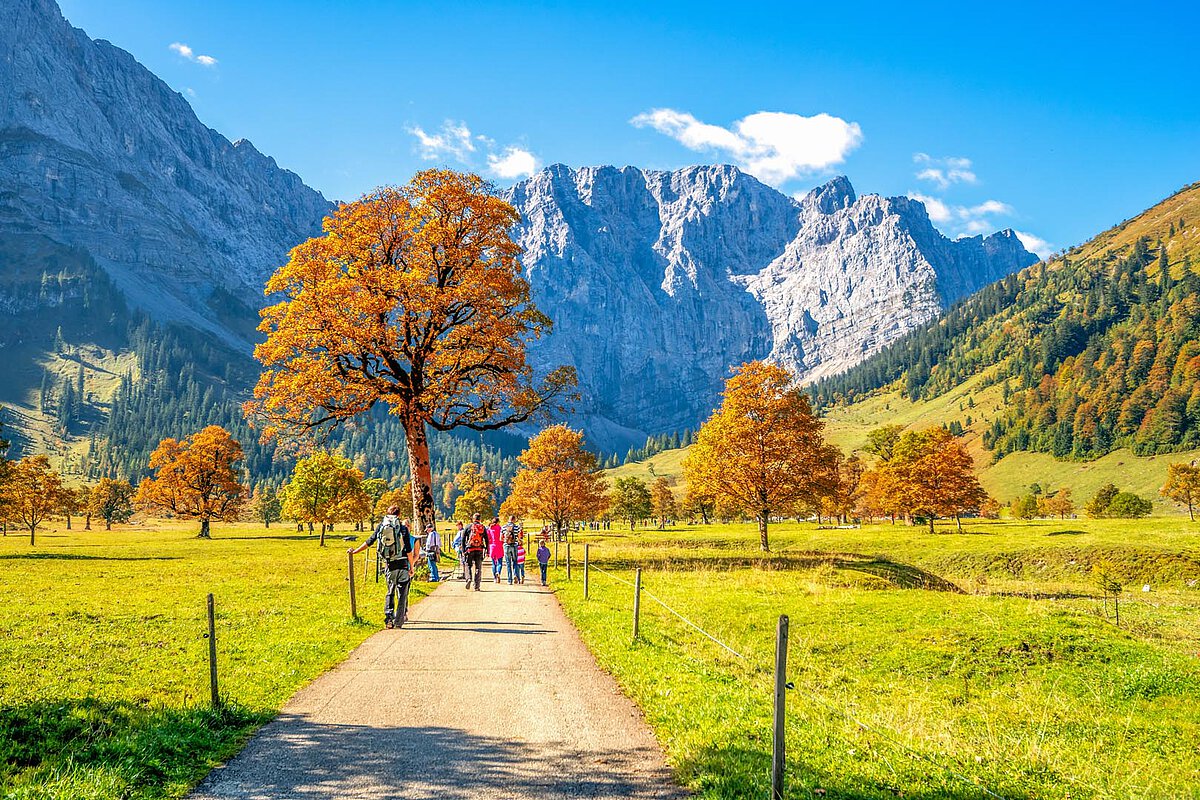 Farm stays on the mountain Tyrol, Austria