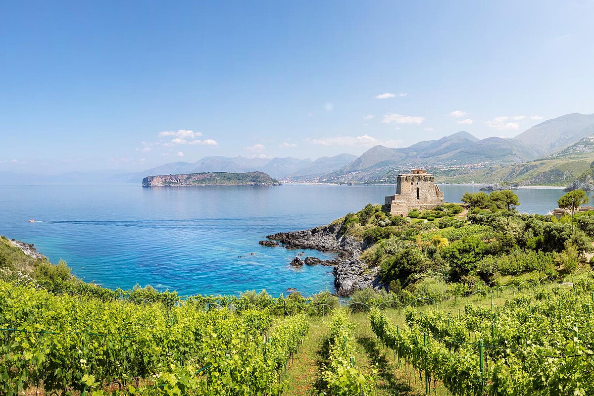 A panoramic view of Southern Italy with clear blue waters, lush vineyards, and a historic tower against a backdrop of mountains.