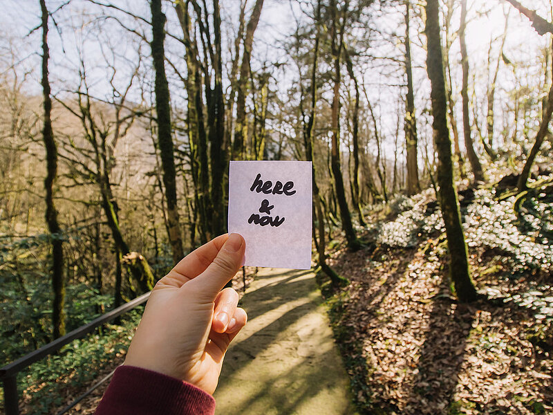 Hand hält einen Zettel mit der Aufschrift "here & now“ vor einem Waldweg im warmen Sonnenlicht.