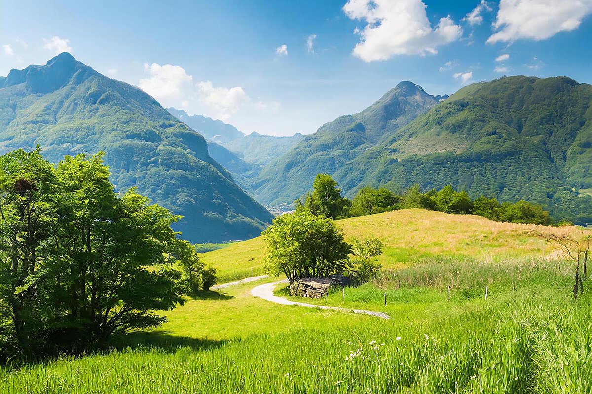 Üppige grüne Hügel und Berge im Tessin unter einem blauen Himmel, mit einem gewundenen Pfad, der durch die Landschaft führt.