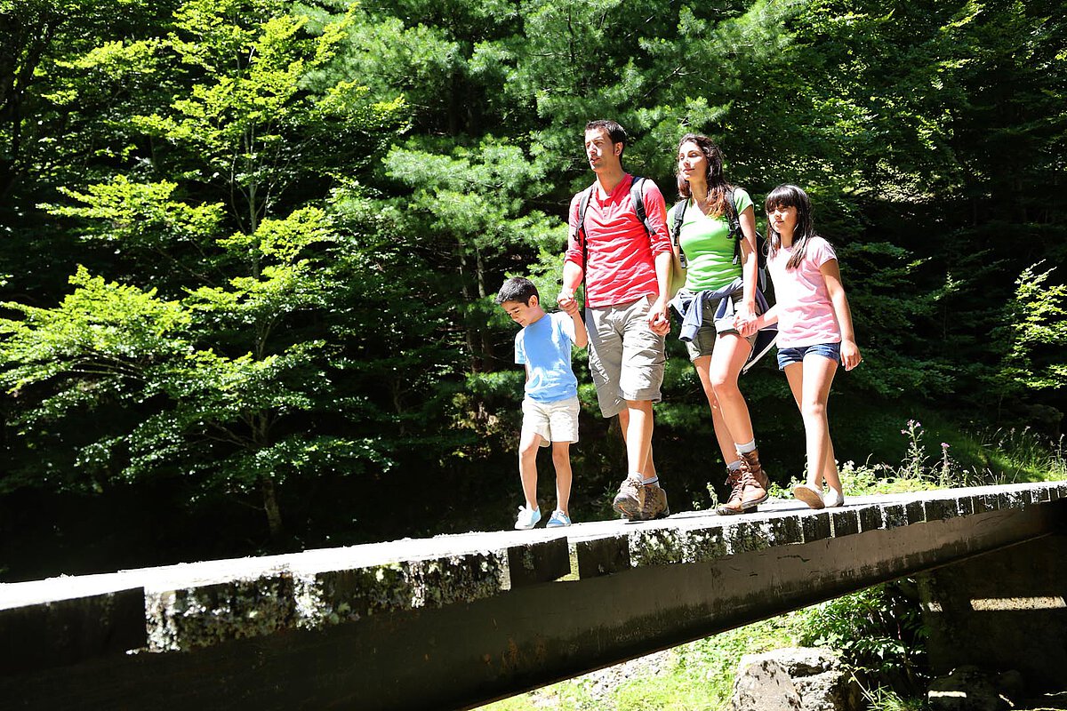 Eine Familie mit vier Personen geht über eine Holzbrücke in einem grünen Wald. Der Vater und die Mutter führen ihre beiden Kinder, die lächeln und mit ihrer Umgebung beschäftigt sind. Sonnenlicht scheint durch die Bäume und schafft eine helle und fröhliche Atmosphäre.
