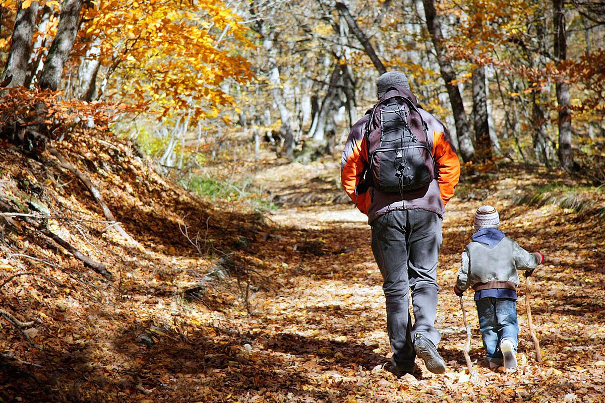Ein Vater und ein kleines Kind gehen nebeneinander auf einem blätterbedeckten Weg im Wald während des Herbstes. Der Vater trägt einen Rucksack, und das Kind hält einen Wanderstock, während sie die lebhafte Herbstlandschaft um sich herum genießen.