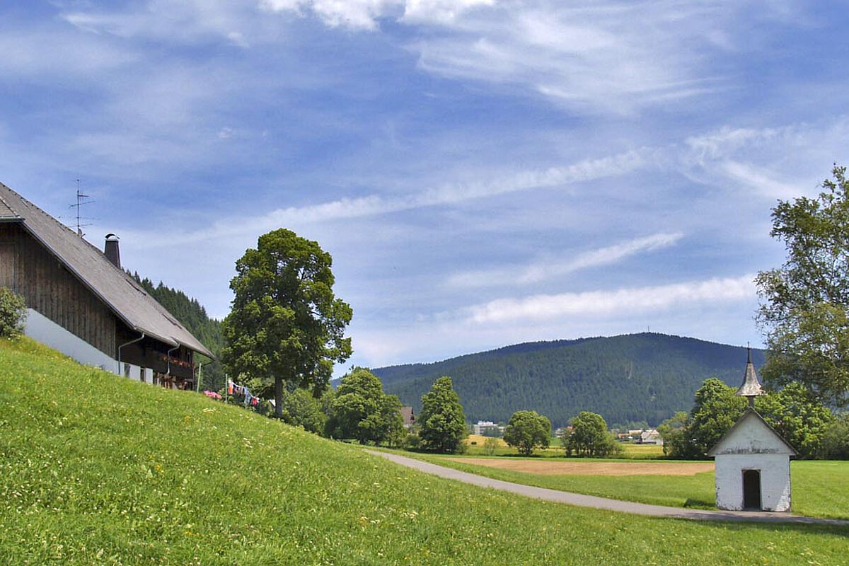 Stunning landscape with a farmhouse in the region Baden Württenberg, Germany