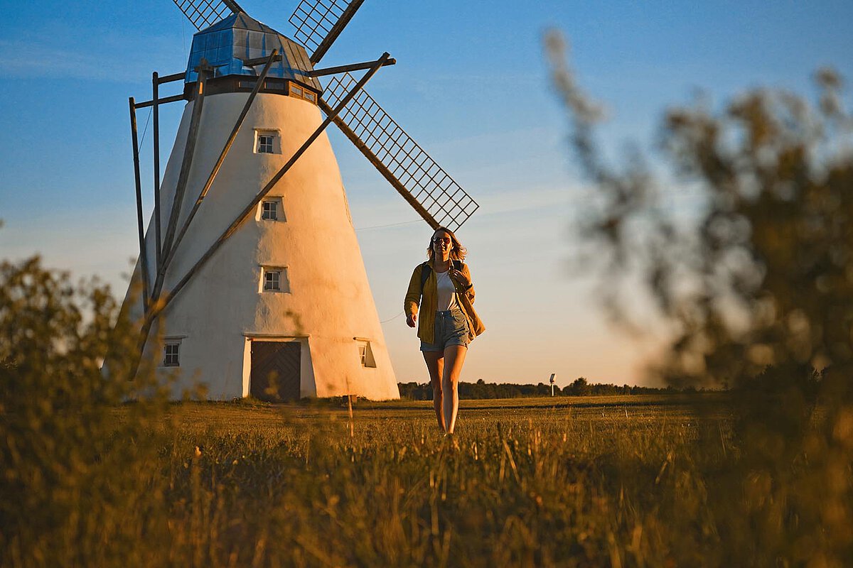 Eine Frau, die in der Nähe einer traditionellen niederländischen Windmühle bei Sonnenuntergang spaziert, umgeben von Grün.