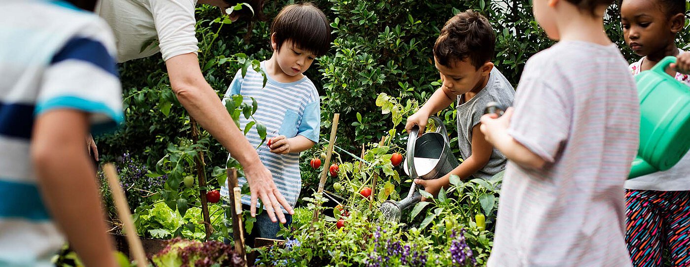 Kinder und eine Erwachsene pflegen gemeinsam ein Hochbeet, gießen und ernten Pflanzen an einem sonnigen Tag, umgeben von grünen Sträuchern.