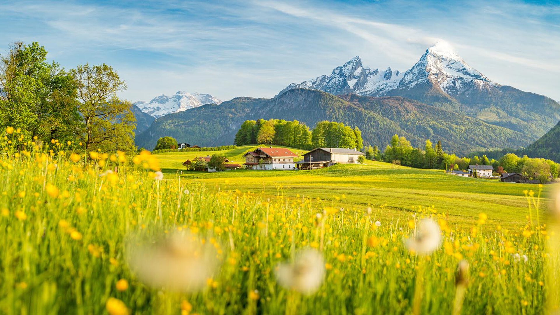 Stunning Ein Panorama-Blick auf ein Tal mit Bauernhäusern, umgeben von bunten Wildblumen und majestätischen Bergen in den bayerischen Alpen unter einem klaren blauen Himmel.