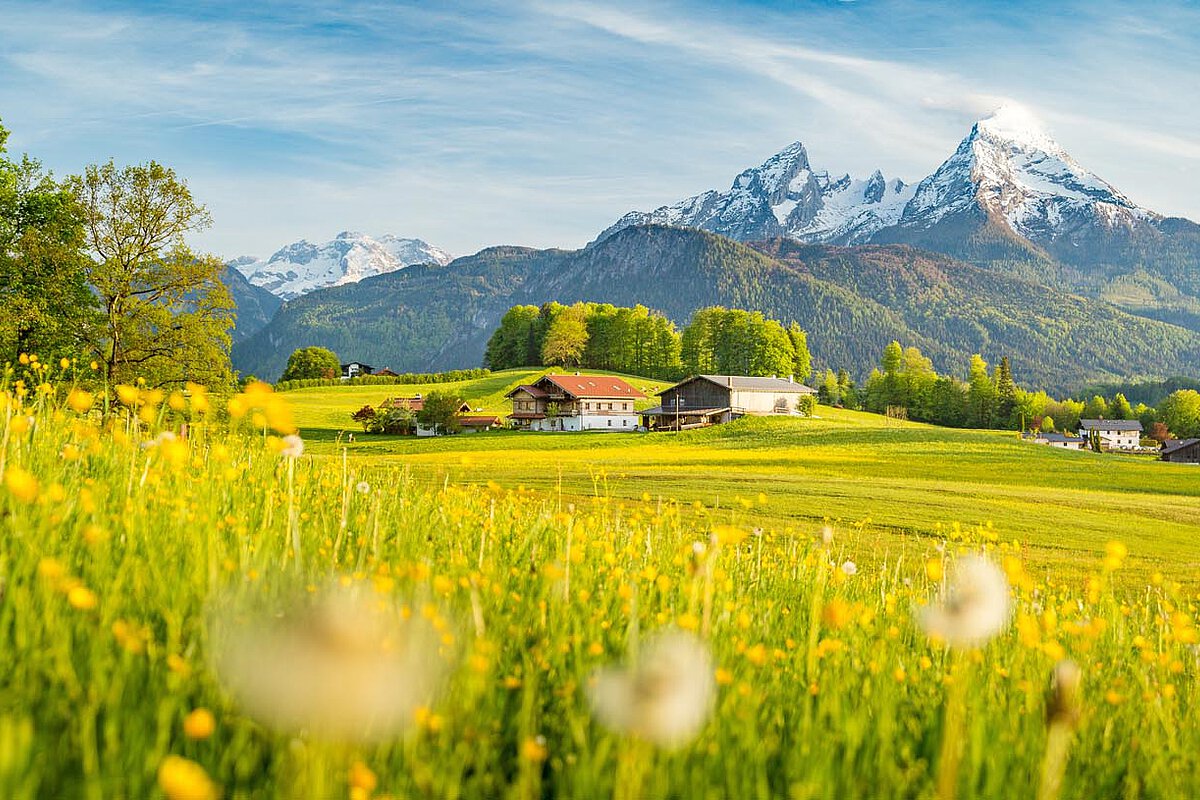 A panoramic view of a valley with farmhouses, surrounded by colorful wildflowers and majestic mountains in the background under a clear blue sky.