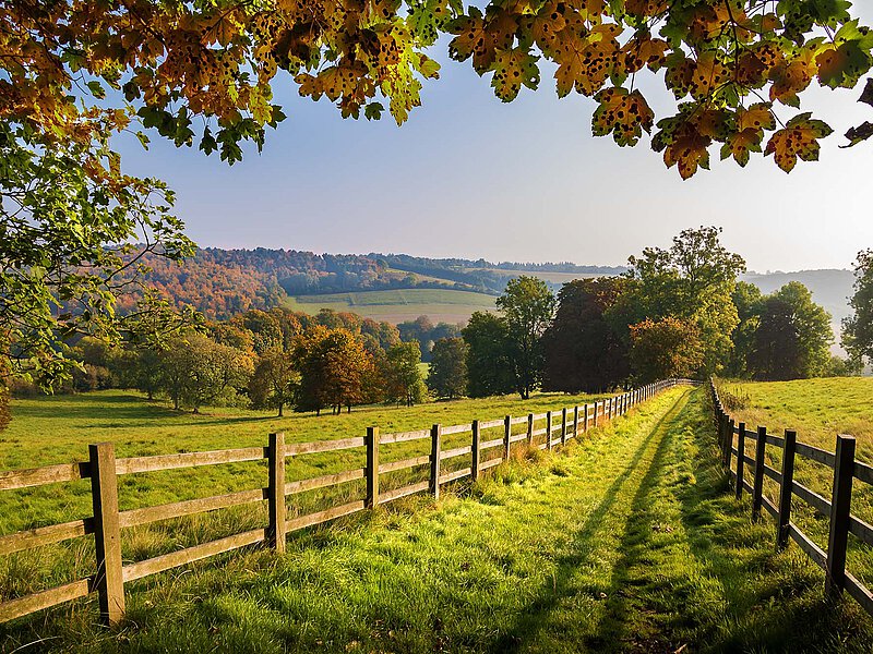 Grüner Weg zwischen Holzzäunen durch eine ländliche Landschaft mit Bäumen und Hügeln.