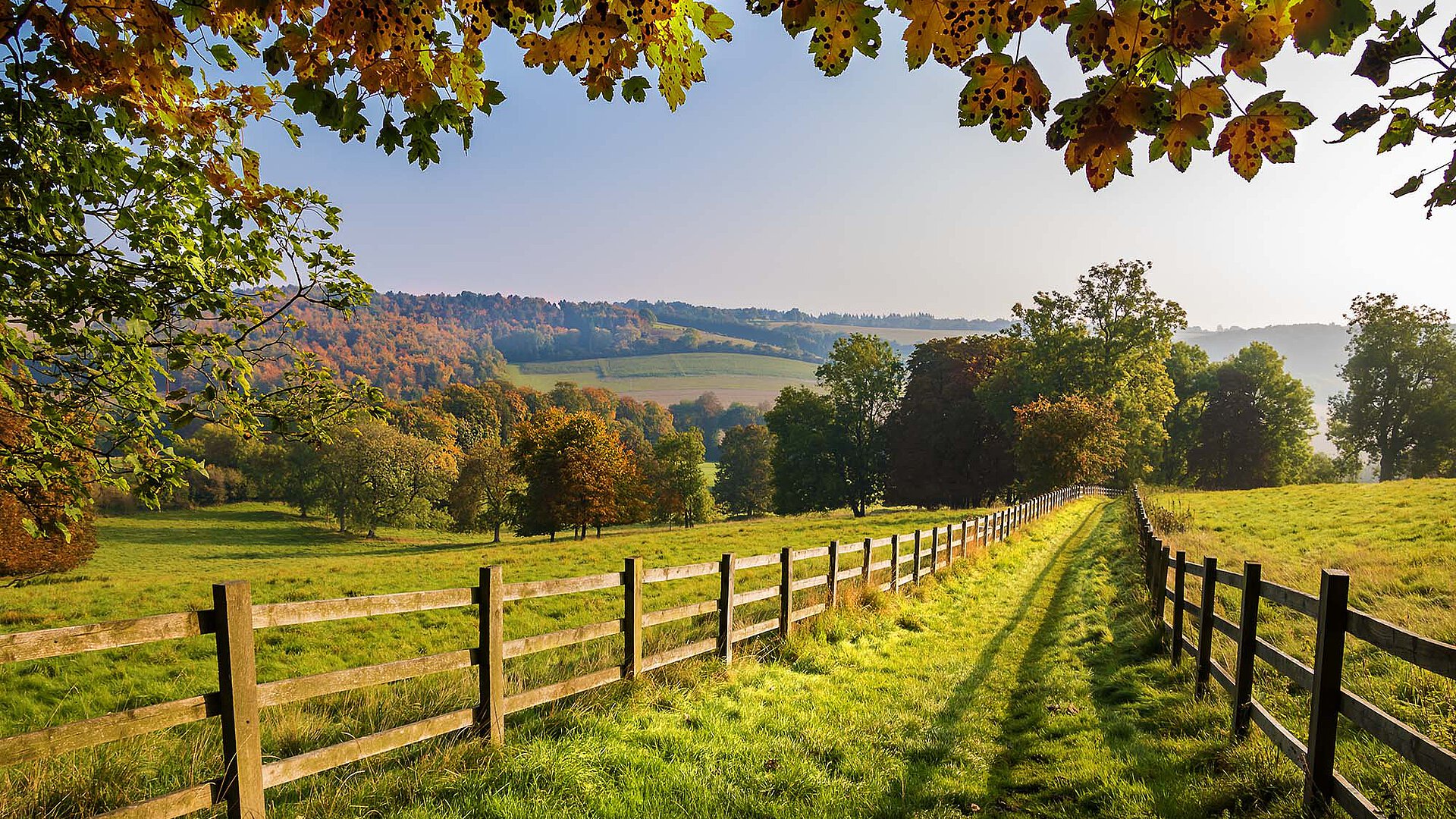Grassy path between wooden fences through a rural landscape with trees and hills.