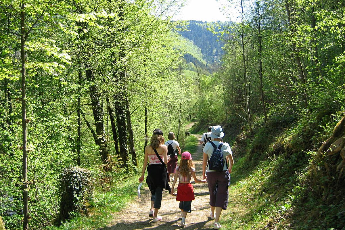 Eine Familie mit fünf Personen geht auf einem sonnenbeschienenen Weg in einem grünen Wald. Sie sind lässig gekleidet, mit zwei Kindern, die den Weg anführen, umgeben von Bäumen und der Schönheit der Natur.