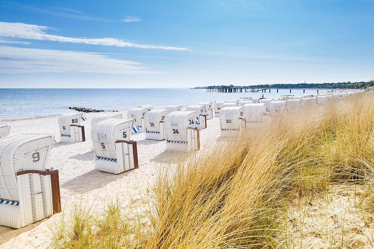 Alt Text: White wicker beach chairs on a sandy beach, with tall grasses and a calm sea under a bright blue sky.