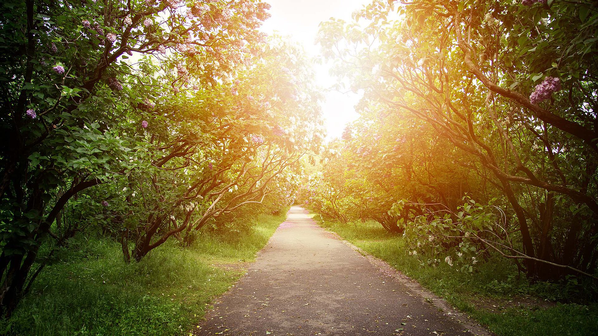 [Translate to Deutsch:] 