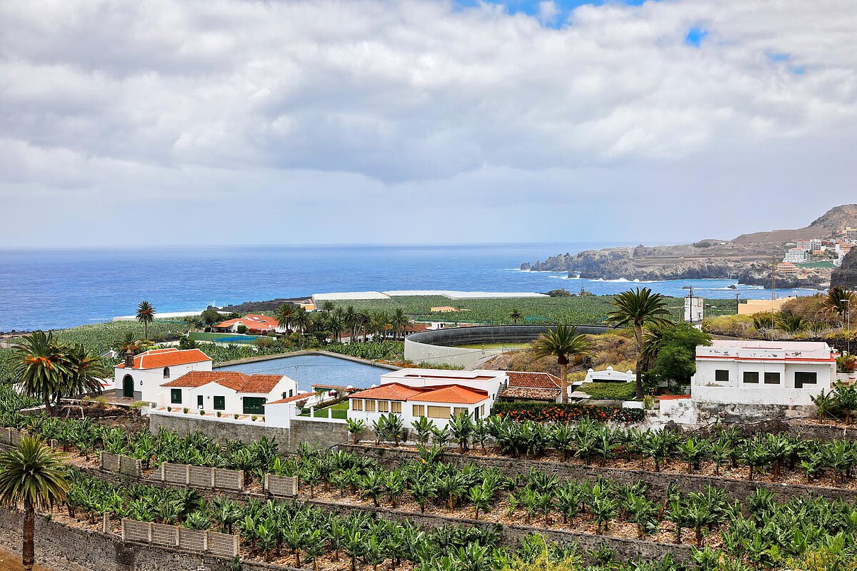 Panoramic view of the Canary Islands showcasing terraced fields, white houses with red roofs, and the ocean, surrounded by palm trees and cliffs.