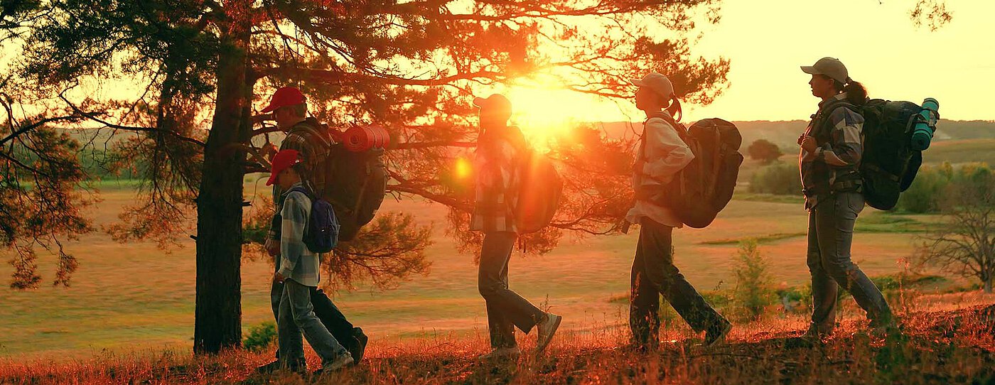 Eine Gruppe von Wanderern mit Rucksäcken geht im Abendlicht durch die Landschaft, die Sonne scheint golden zwischen den Bäumen hindurch.
