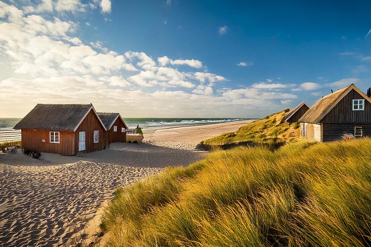 Traditional beach huts on the Northern Sea coastline in Denmark, surrounded by sandy dunes and grass.
