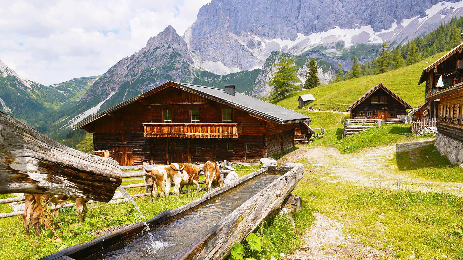 Traditional wooden chalets in a mountain village in Austria, with grazing cows and snow-capped mountains in the background, creating a serene alpine landscape.