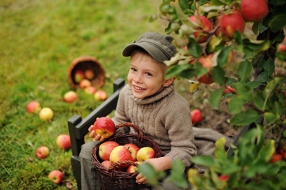 A smiling boy in a sweater and cap sits in an orchard, holding a basket of apples, with apples scattered on the ground and trees in the background.
