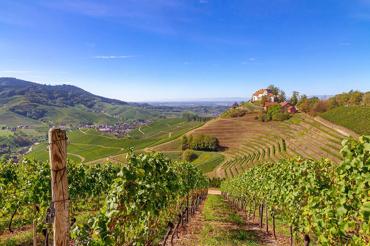 View of a farm stay in Staufenberg, Black Forest Germany