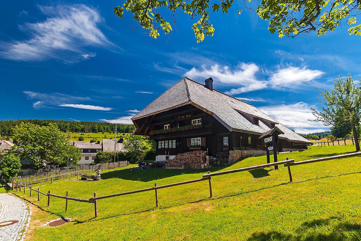 Traditional wooden house in the Black Forest with green grass and trees under a bright blue sky.